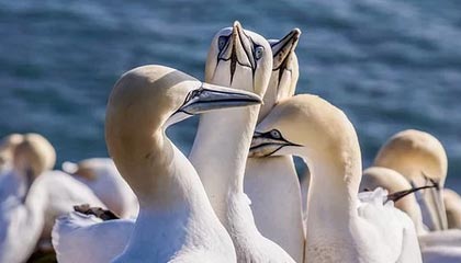 PG电子登录入口-从“程老板”回归“球员程军”：我现在更享受比赛