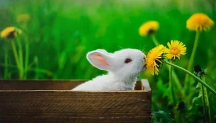 PG电子app下载-U23国足首进亚洲杯淘汰赛创历史